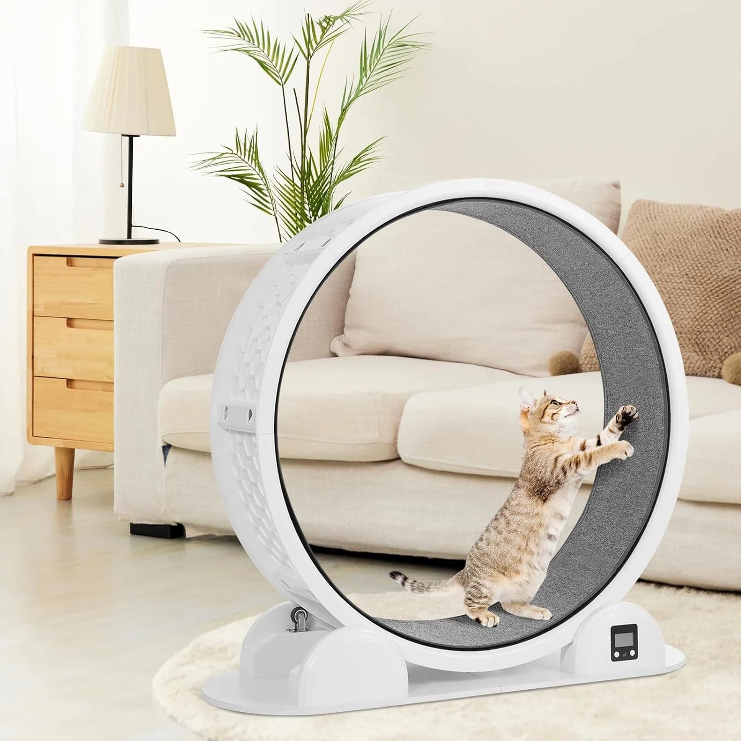 Cat Exercise Wheel with Pedometer, 10 Minutes Fast and Easy Installation, 41” Large Cat Treadmill Running Fitness Workout Wheels for Indoor Cats