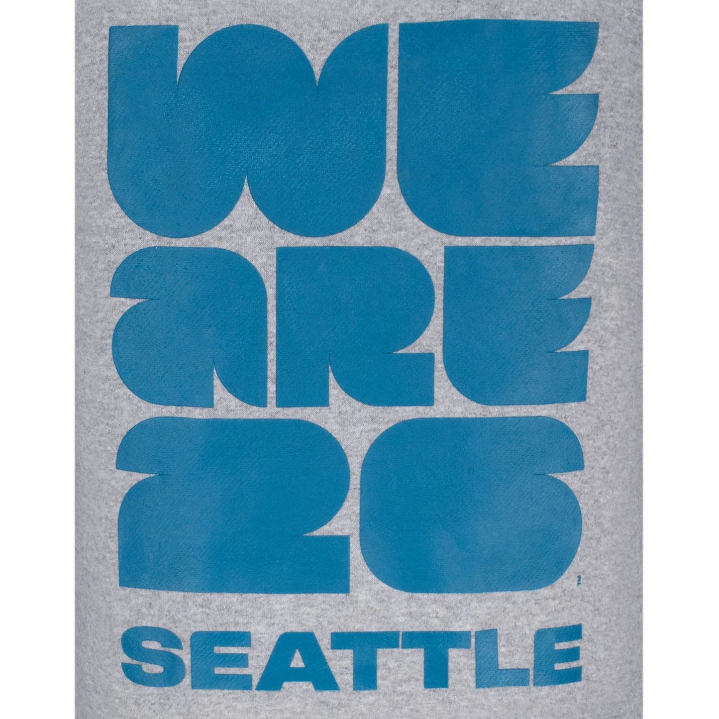 FIFA World Cup 2026™ Seattle Grey Hoodie - Unisex