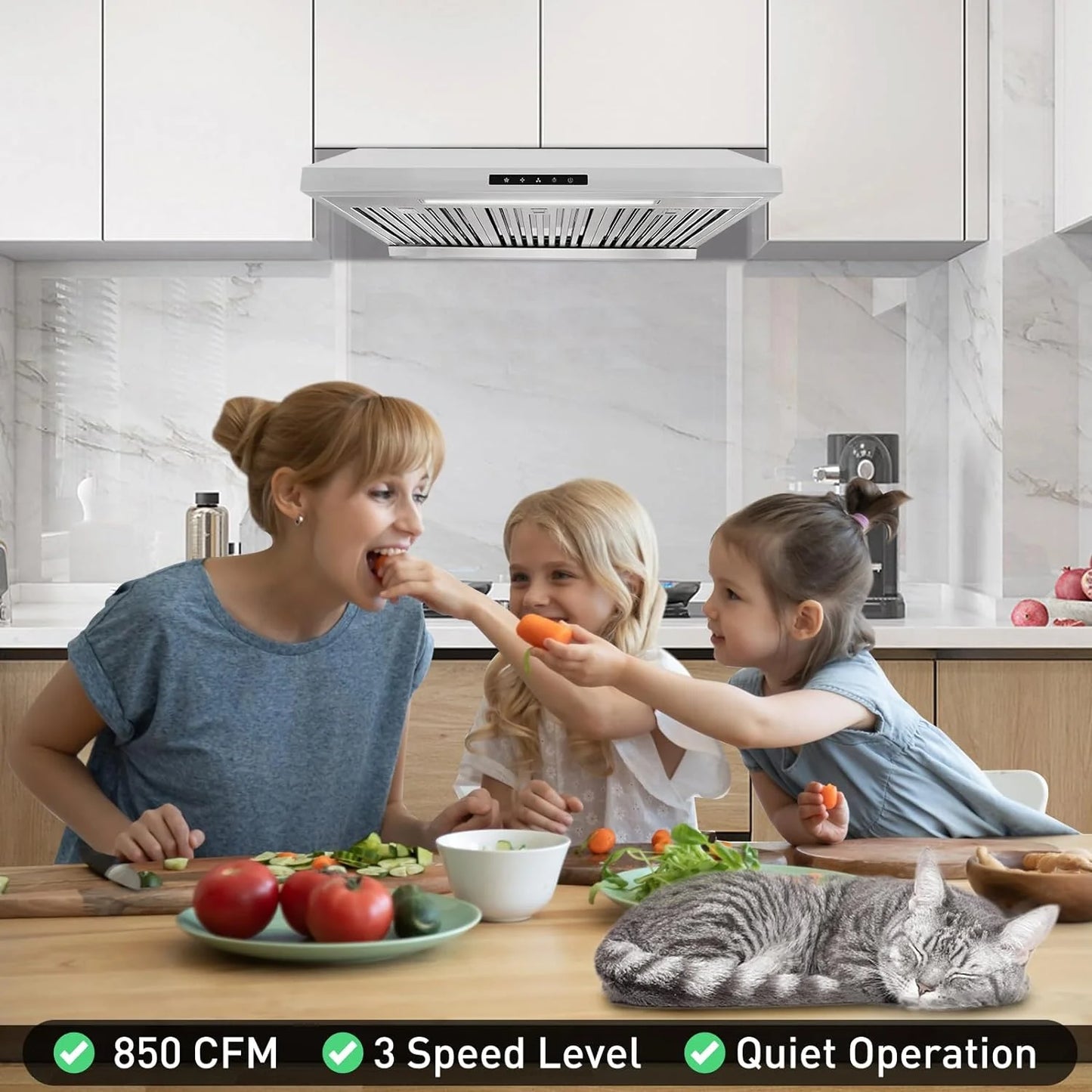 Powerful 30 Inch Under Cabinet Range Hood With Seamless Stainless Steel Body, Twin Turbo Motors, 3 Speed Touch Screen, Round Vent, Baffle Filters, LED Lights, Oil Collector