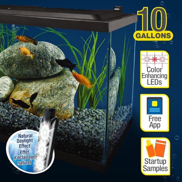 Complete LED Aquarium 55 Gallons, Includes LED Lighting, Filtration, Heater and Accessories