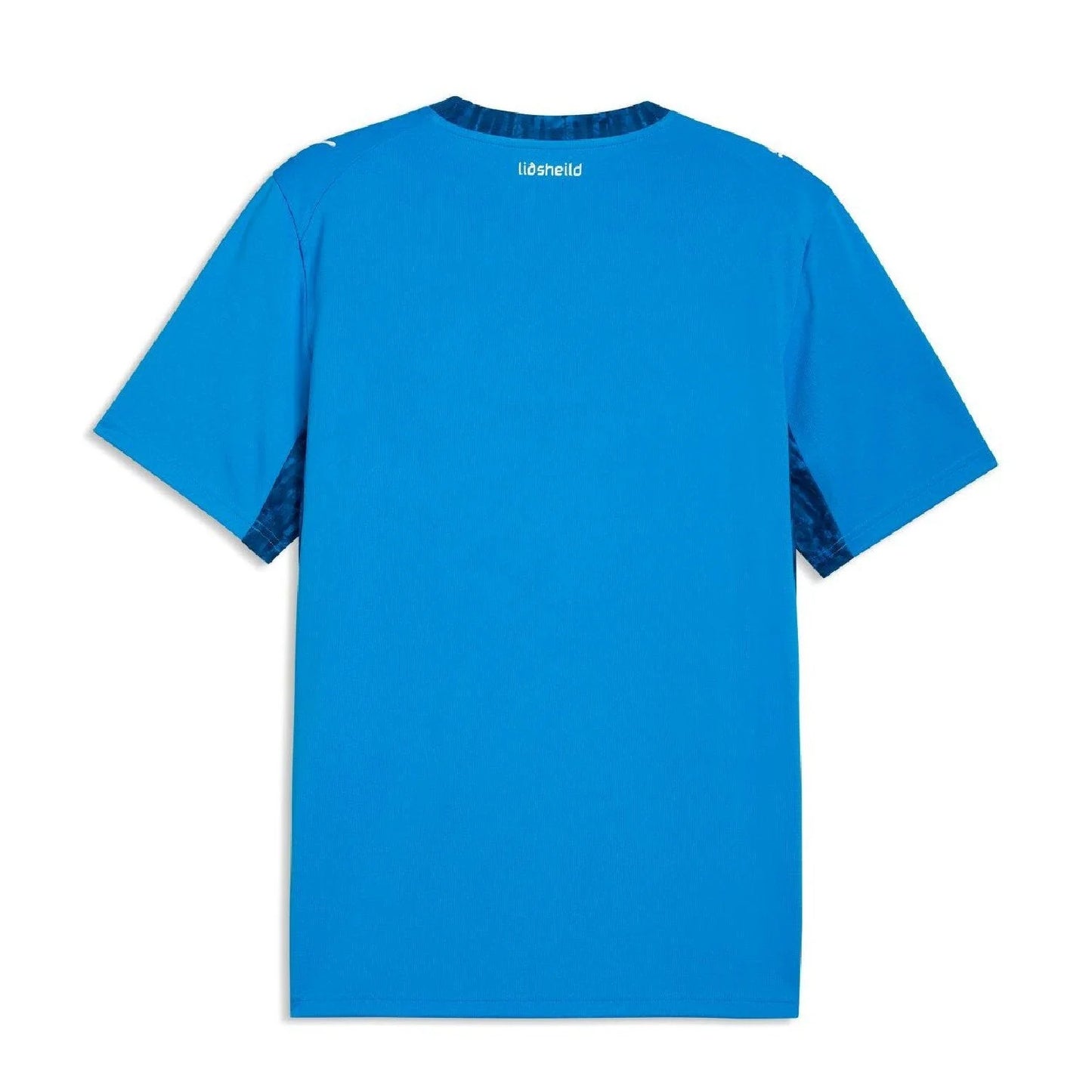 Iceland 2026 Home Jersey - Men's