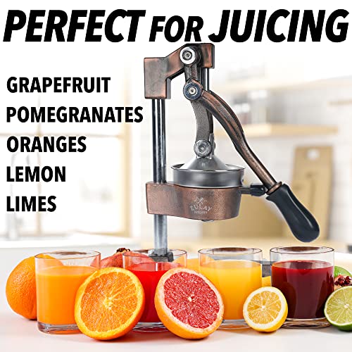 Zulay Kitchen Cast Iron Orange Juice Squeezer Heavy Duty, Easy to Clean, Professional Citrus Juicer Durable Stainless Steel Lemon Squeezer Sturdy Manual Citrus Press & Orange Squeezer (Copper): Home & Kitchen
