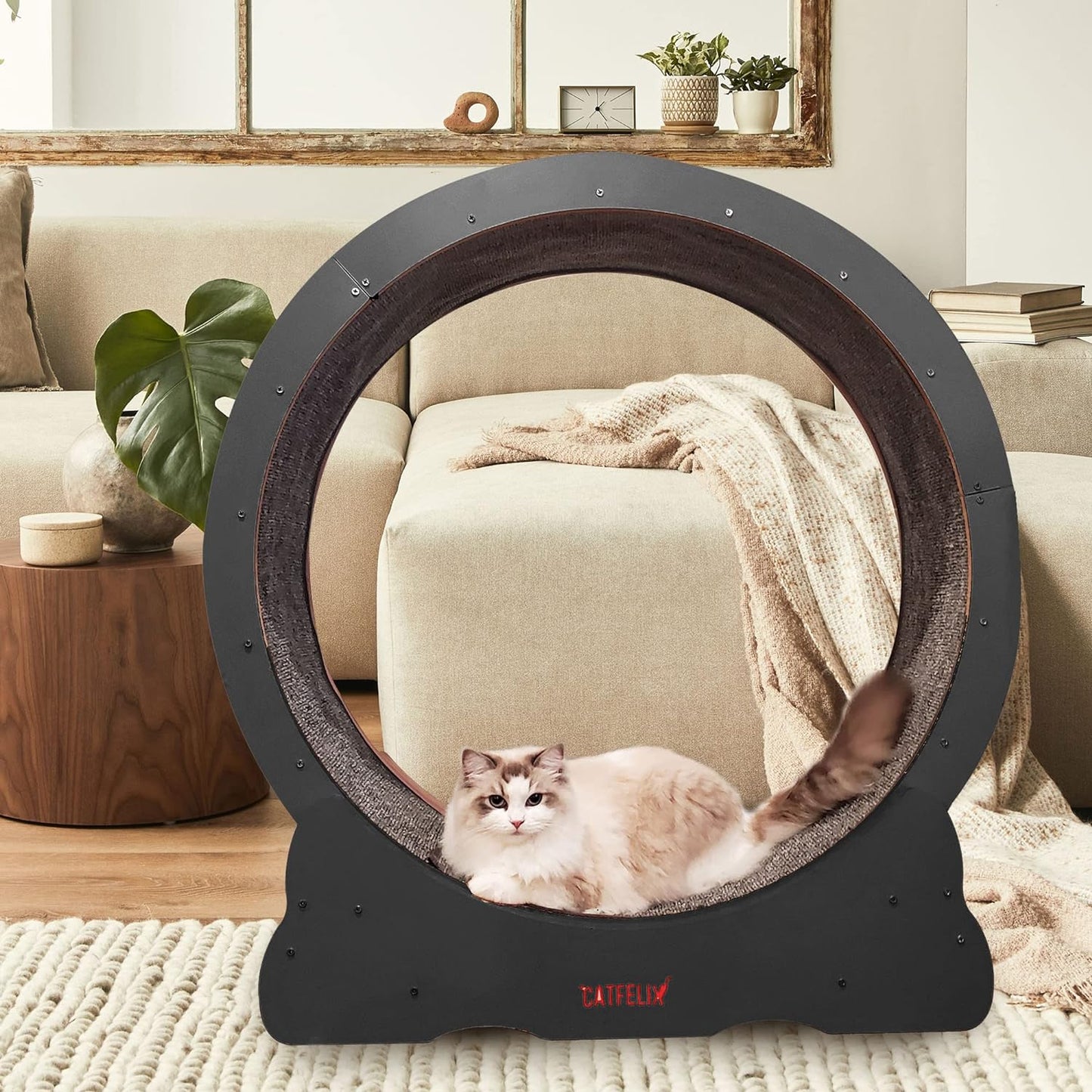 Cat Felix,Cat Wheel, Cat Exercise Wheel for Indoor, Easy Assembled Cat Treadmill for Fitness and Healthy, Cats Loss Weight Device (Pink) (White)
