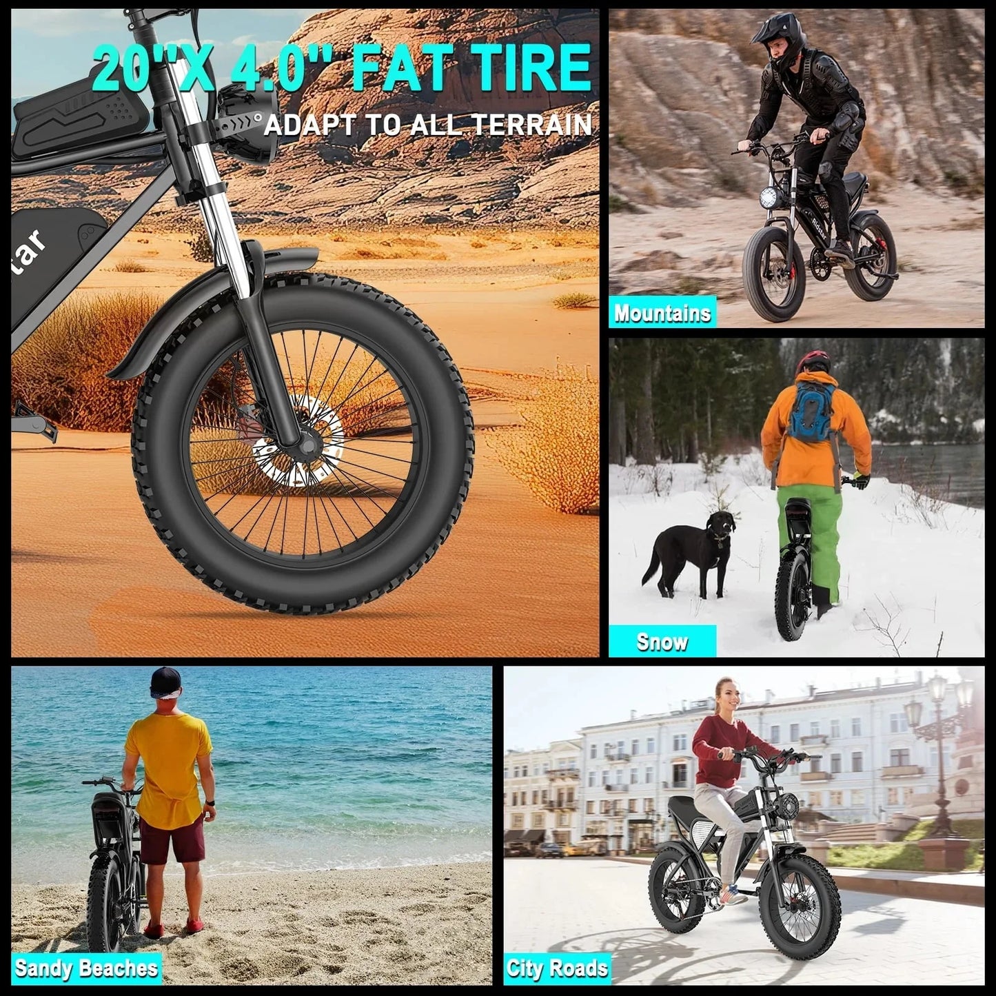 Electric Bike for Adults Ridstar, 1200W 30mph Moutain Bike,48V 15.6AH Battery E-Bike,20" Fat Tire Electric Motorcycle,Electric Bicycle 7 Speed Full Suspension