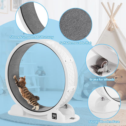 Cat Exercise Wheel with Pedometer, 10 Minutes Fast and Easy Installation, 41” Large Cat Treadmill Running Fitness Workout Wheels for Indoor Cats
