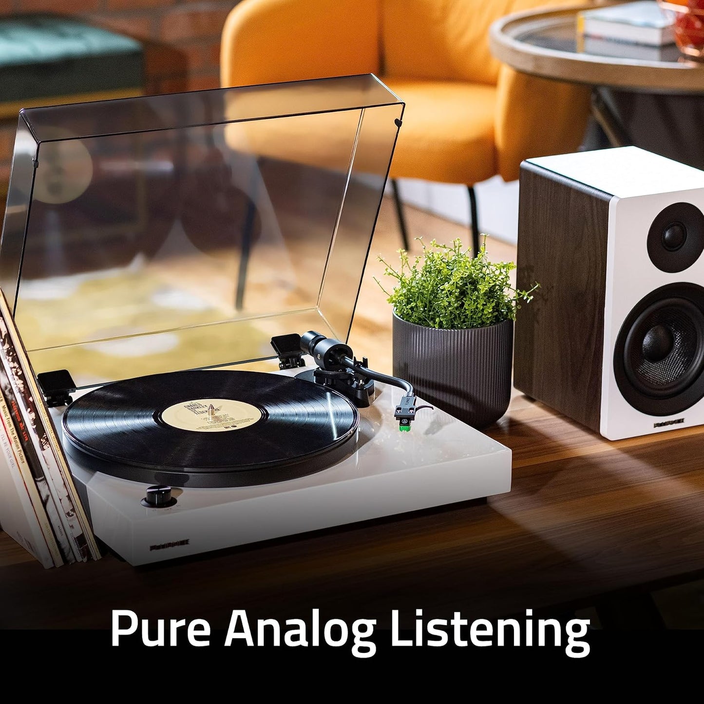Fluance RT81+ Vinyl Turntable, VM95E Cartridge, Walnut