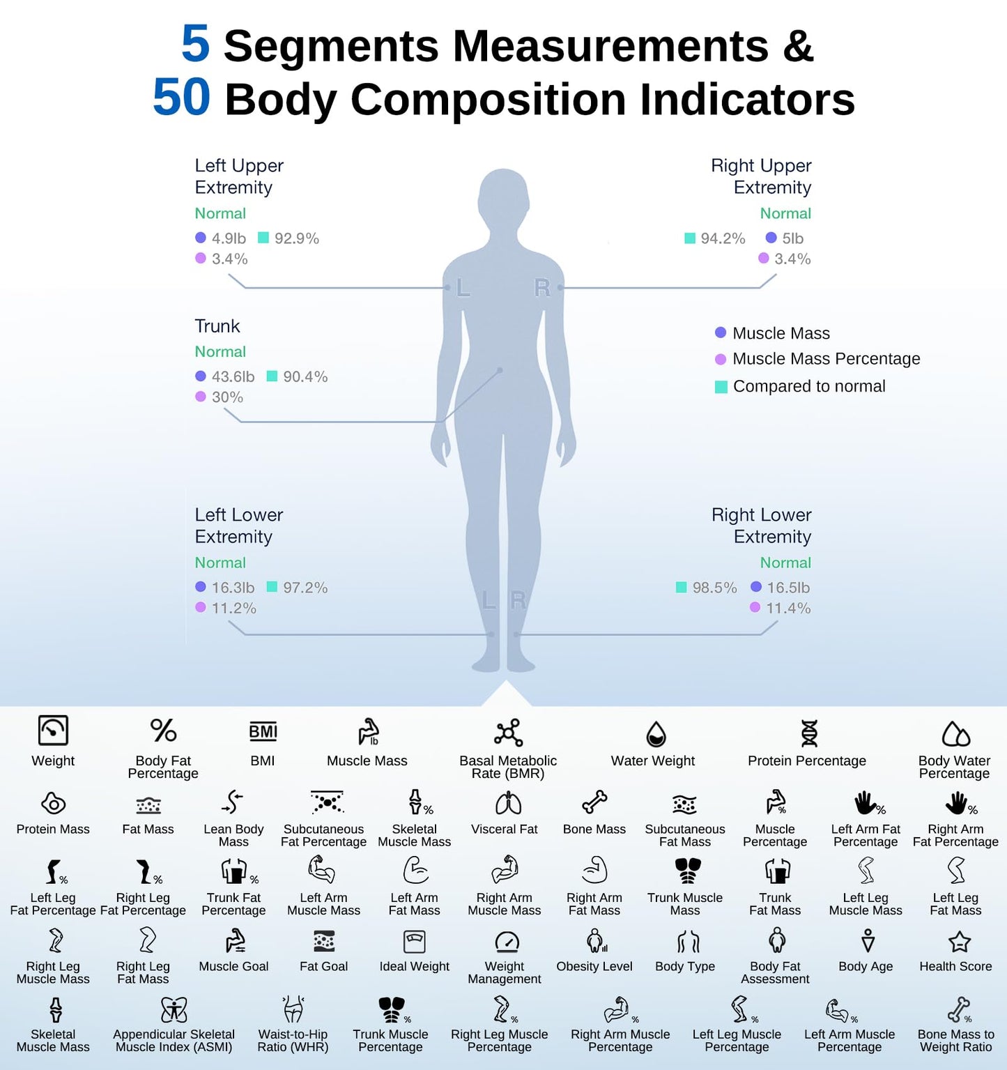 GE Smart Scale Body Weight with Full Body Analysis