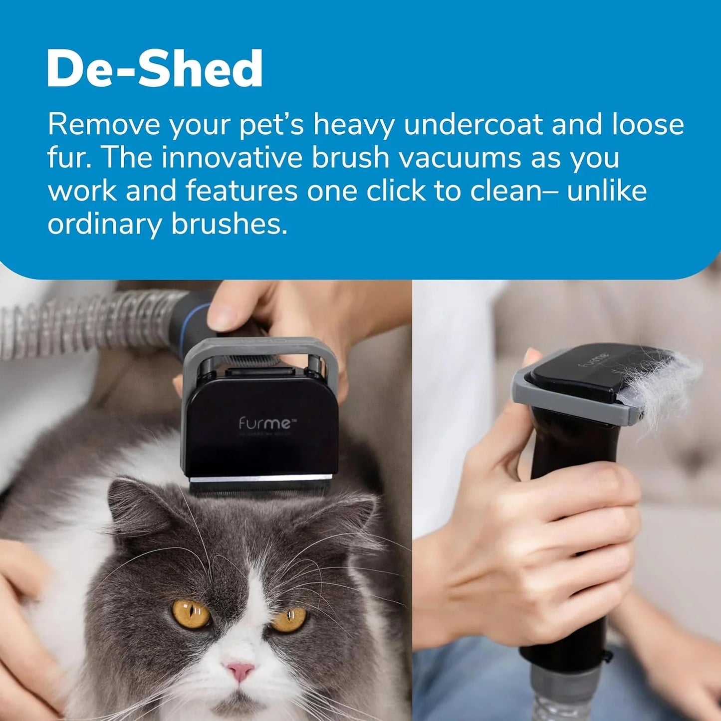 Professional Plus Pet Grooming Vacuum Kit, 5 Pet Grooming Tools, 2L Canister, Works for All Dogs, Cats, and Pet Fur