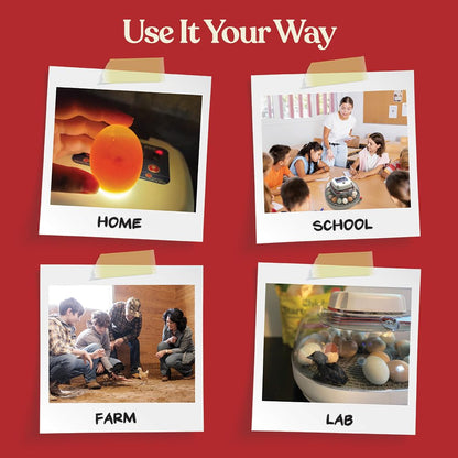 HARRIS FARMS Nurture Right Egg Incubator for Hatching Chickens