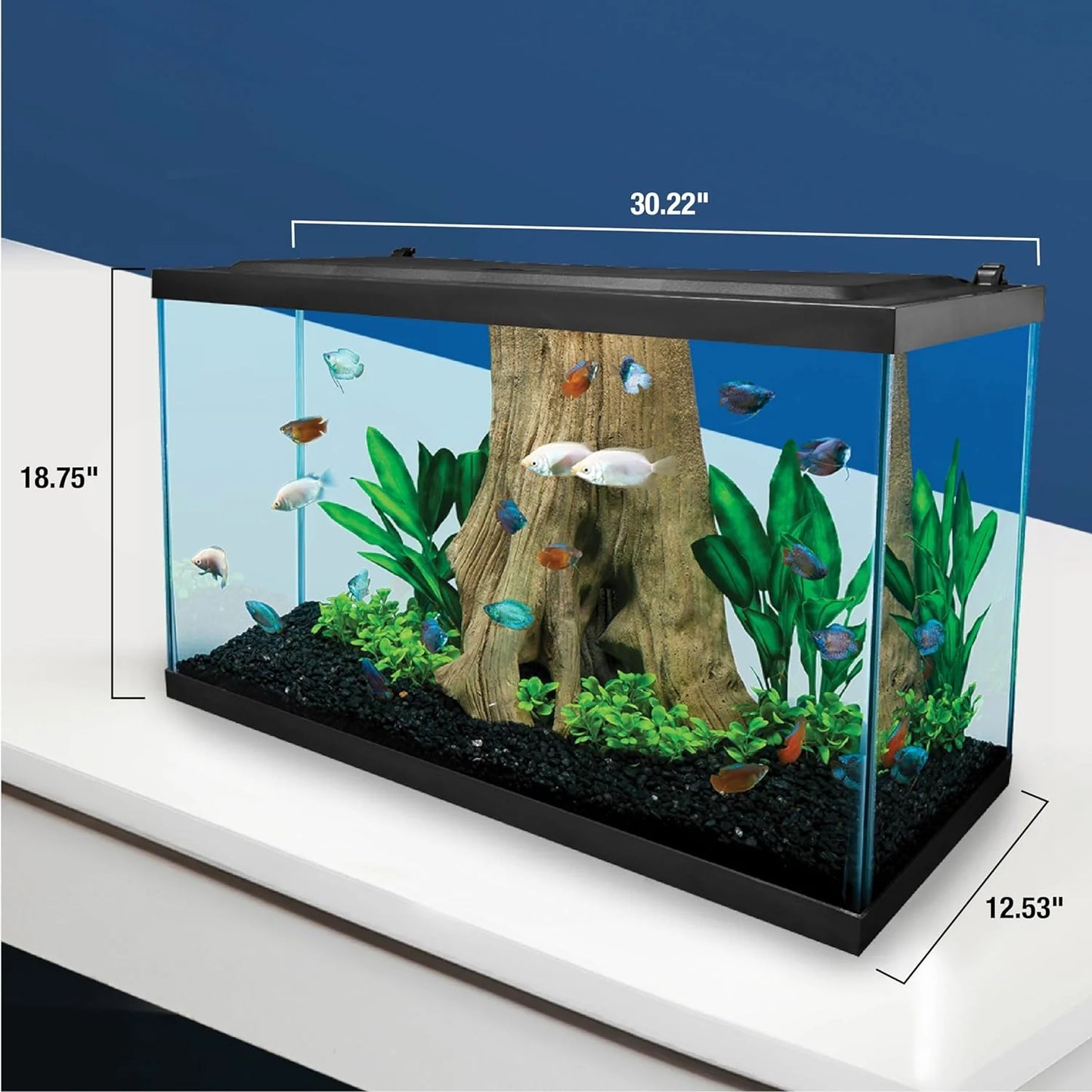 Complete LED Aquarium 55 Gallons, Includes LED Lighting, Filtration, Heater and Accessories