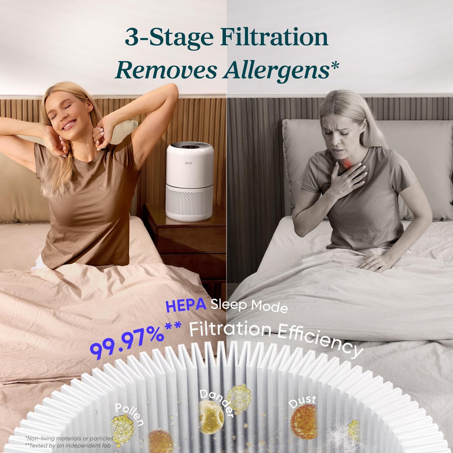 LEVOIT Air Purifier for Allergens & Pets, Core300-P, 2 Pack
