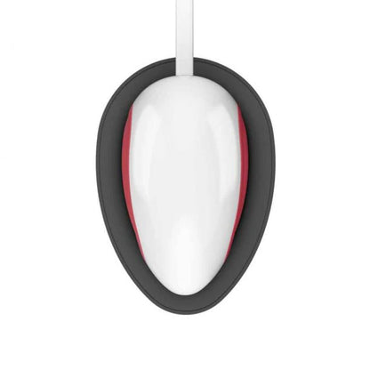 EasyPress MiniTM, Raspberry + Essentials Iron -On Bundle