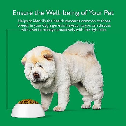 Dna My Dog Essential Test