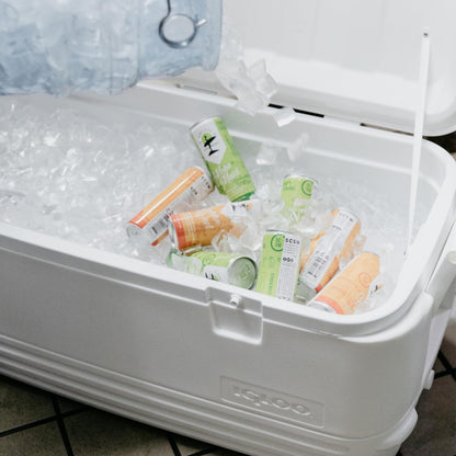 IGLOO Hard Cooler | Polar & Party Bar Insulated Ice Chest
