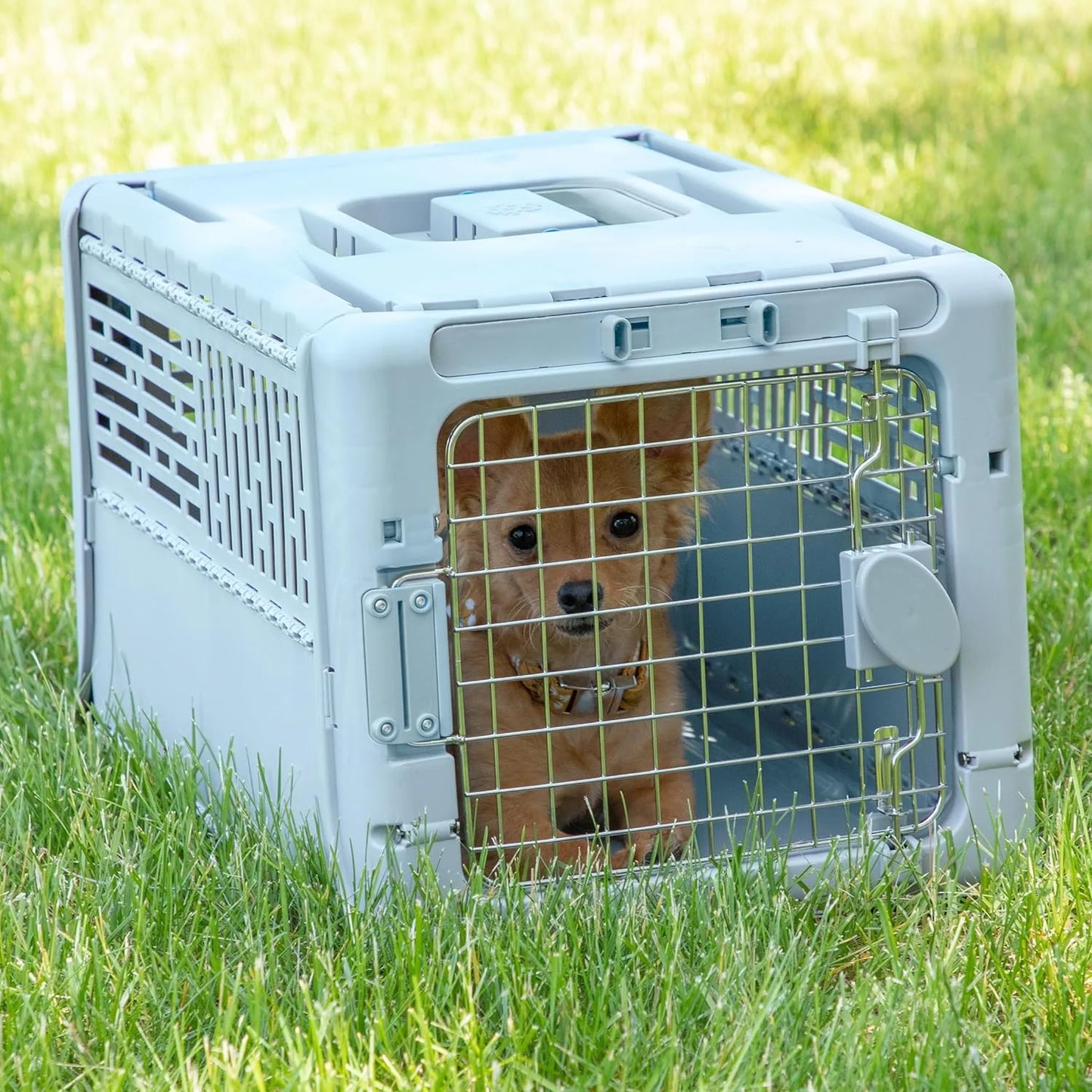 Designs Plastic Kennels Rolling Plastic Airline Approved Wire Door Travel Dog Crate, XXX-Large, Gray