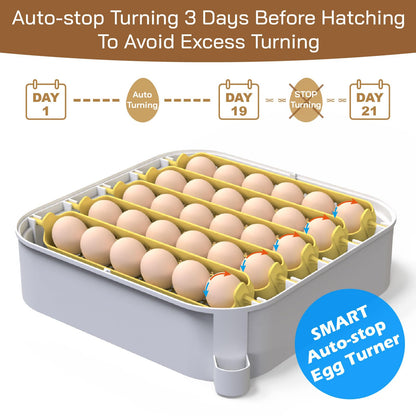 MATICOOPX MATICOOPX 30 Egg Incubator with Humidity Display