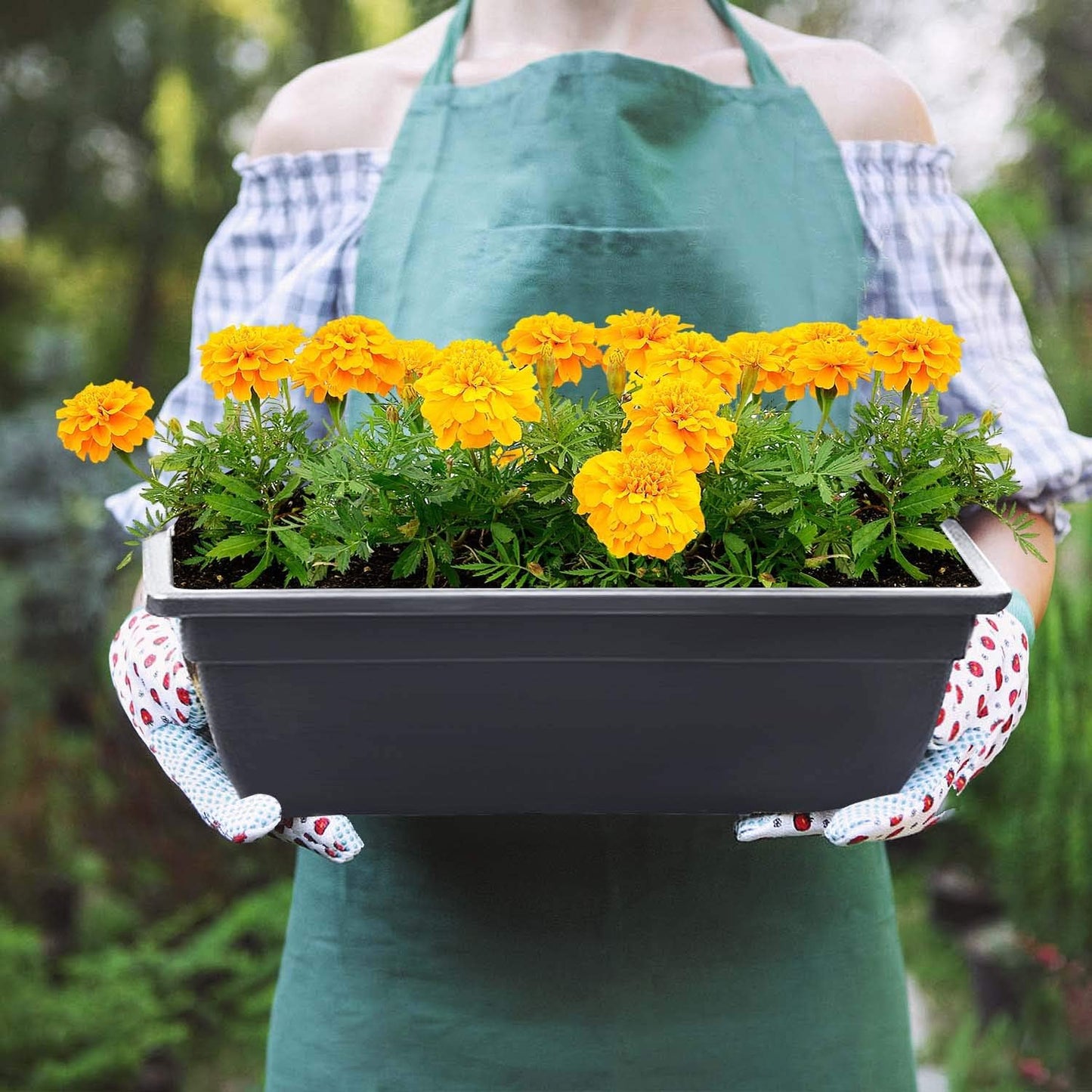 FOYUEE Vertical Herb Garden Planter Box Outdoor Elevated Raised Bed for Vegetables Flower Indoor with Drainage 5 Container