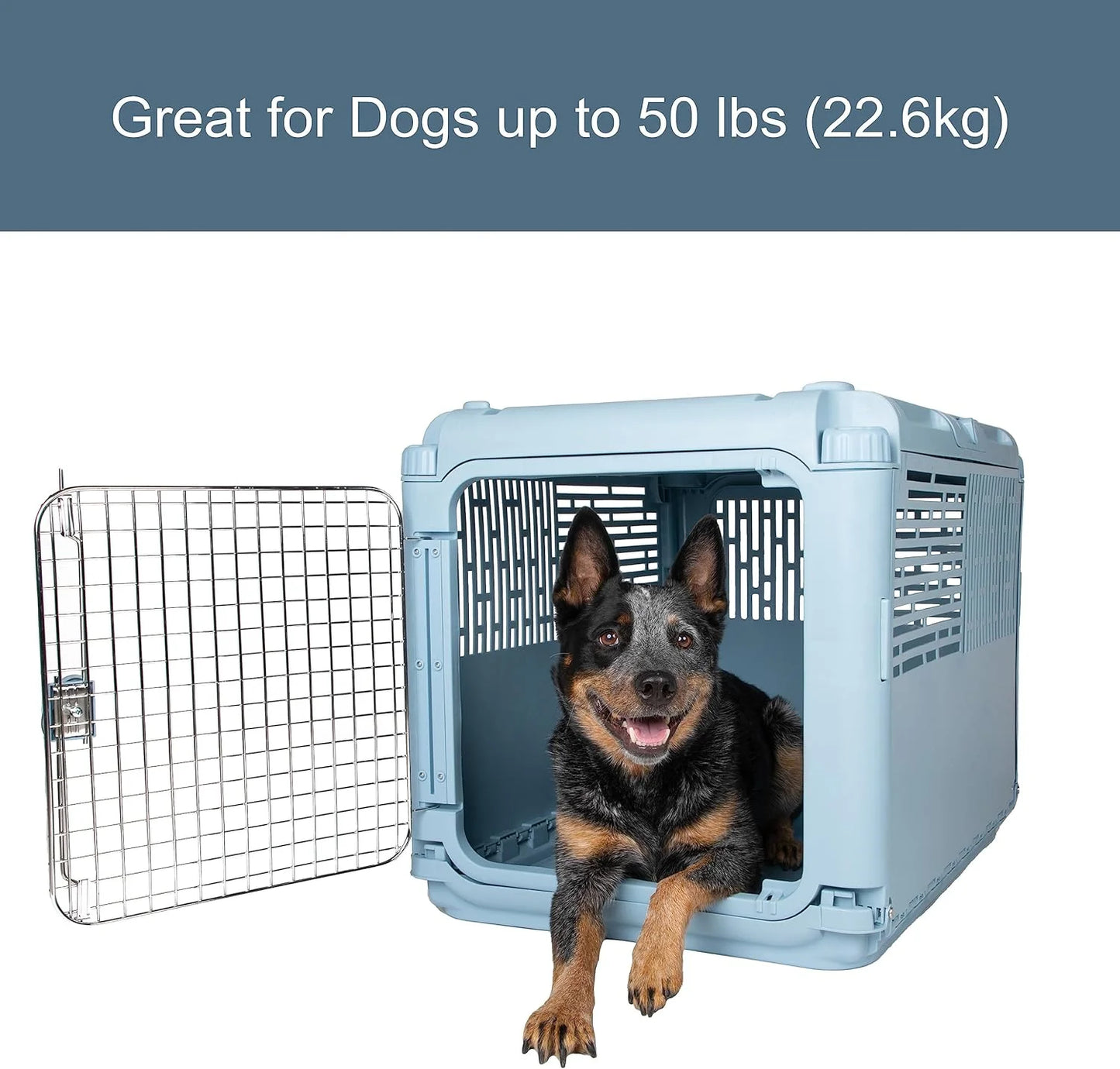 Designs Plastic Kennels Rolling Plastic Airline Approved Wire Door Travel Dog Crate, XXX-Large, Gray