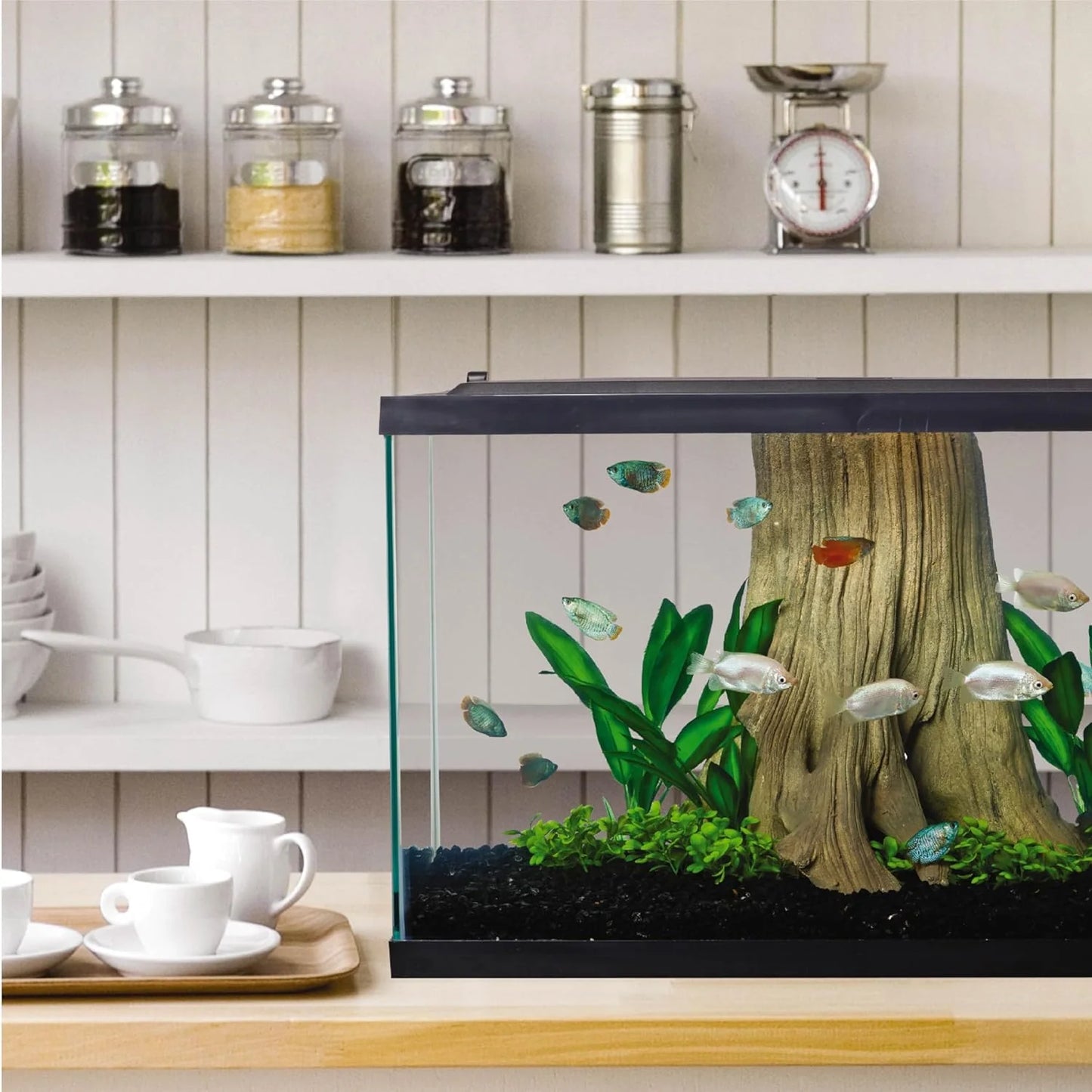 Complete LED Aquarium 55 Gallons, Includes LED Lighting, Filtration, Heater and Accessories