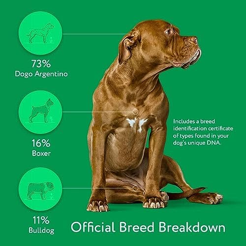Dna My Dog Essential Test