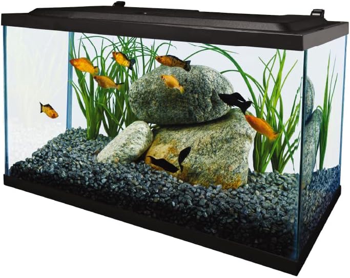 Complete LED Aquarium 55 Gallons, Includes LED Lighting, Filtration, Heater and Accessories
